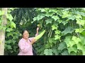 ទីកំនើតដ៏មនោរម