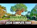 Disneys animal kingdom 2024  walkthrough  rides at walt disney world 4k