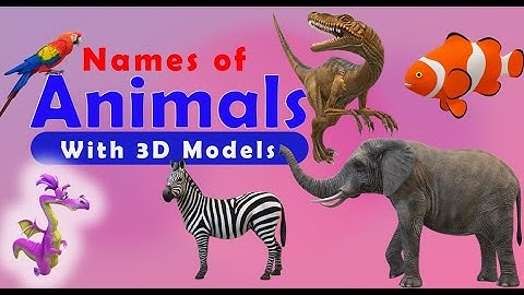Names of Animals (Speaking 3D Flash Cards)