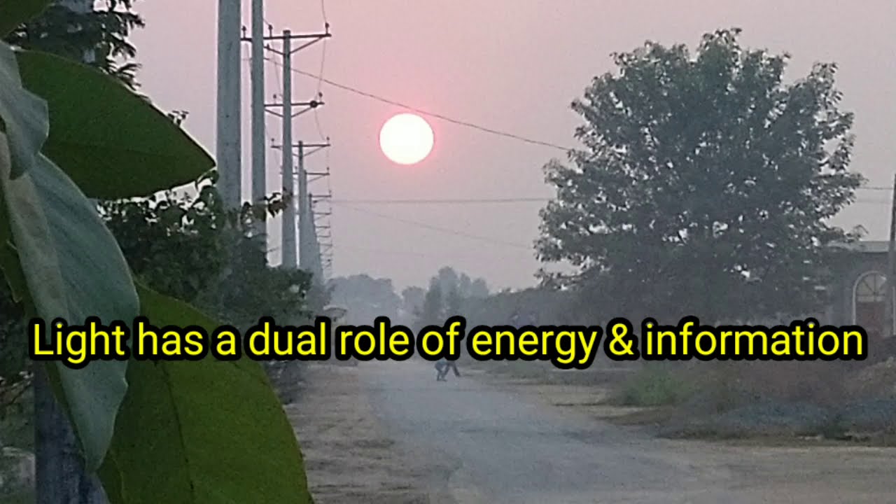 Light, Pigments, & Action