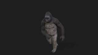 Test5