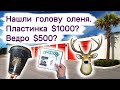 Нашли голову оленя. Ведро $500? Пластинка за $1000? Находки в брошенных складах.