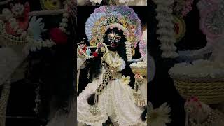 मन मोहक और अद्भुत 🌺 #bhakti #devotional #spiritual#god #youtubefeed#youtubeshorts #ytshorts#shorts