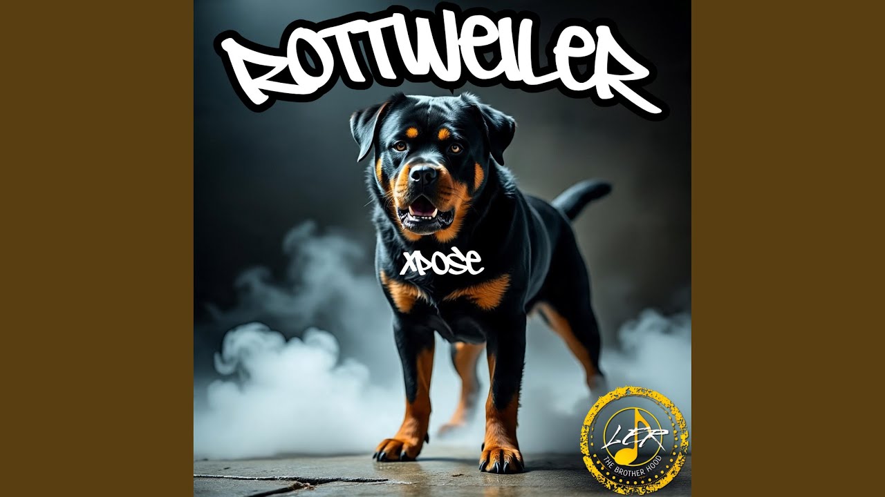 Watch Rottweiler on YouTube Watch Rottweiler on YouTube
