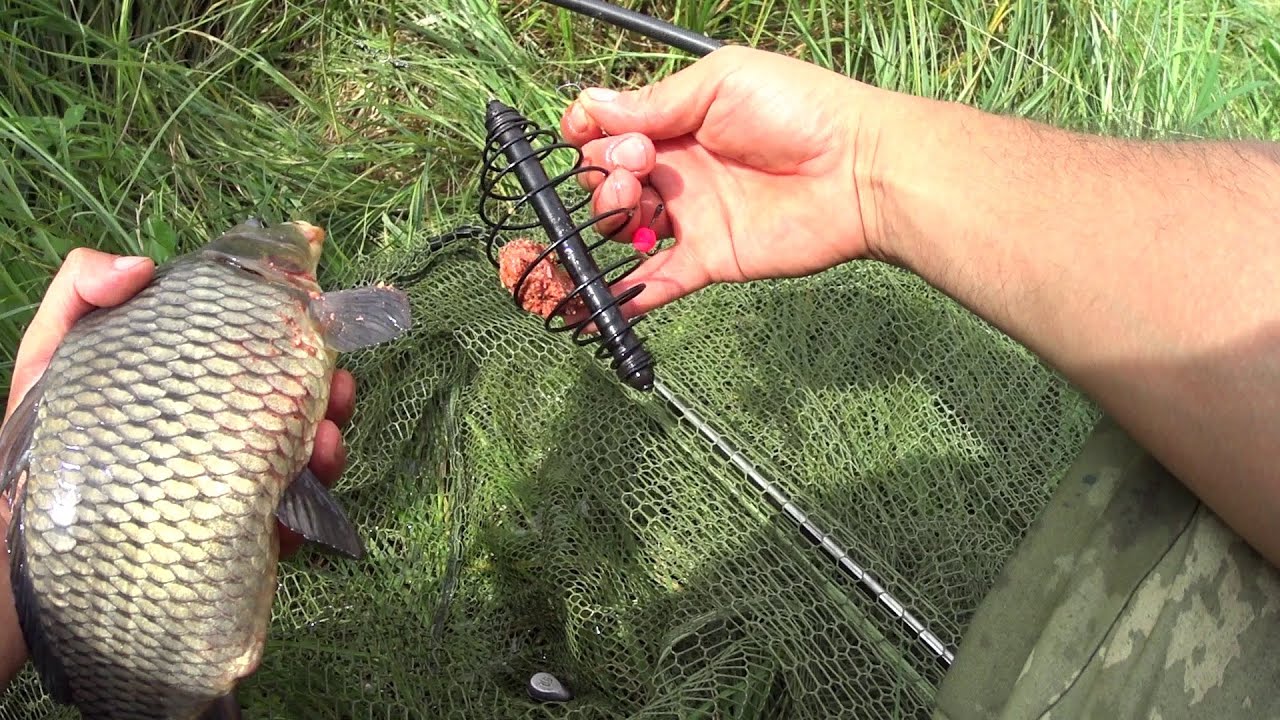 Липник 2023. Весёлый пенопласт