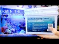 水槽を半リセットしてライブロックスケーピングセメントで固定しました❀海水魚水槽 アクアリウム