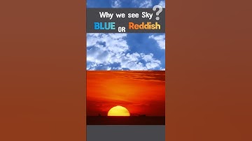 Why Does the Sky Look Blue or Red ? #shorts #shortsfeed #sky #sun #science #facts #sunrise #sunset