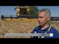 GRANO: BILANCIO RACCOLTA -40% IN PUGLIA MA QUALITÀ AL TOP; NESSUN ALIBI PER RIBASSARE PREZZI