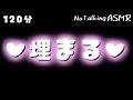 【ASMR】ふかふか♡ もふもふ♡ に埋まります! 【途中広告なし】