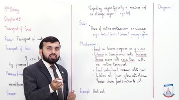 Class 9 - Biology - Chapter 9 - Lecture 5 Transport of Food - Allied Schools