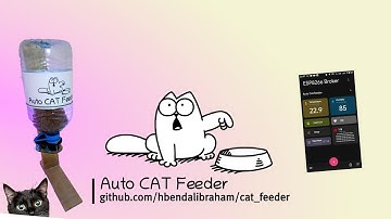 Auto CAT Feeder