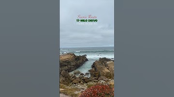 Thumbnail of Scenic 17 mile drive in Carmel / Monterey