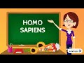 L'Homo Sapiens e l'Homo di Cro-Magnon - Scuola Primaria