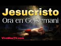 🔥 Poderosa Oracion de Jesus en Getsemaní | Vigilia de Oracion