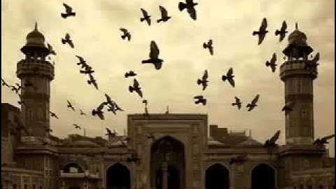 سورة آل عمران  الشيخ منير التونسي