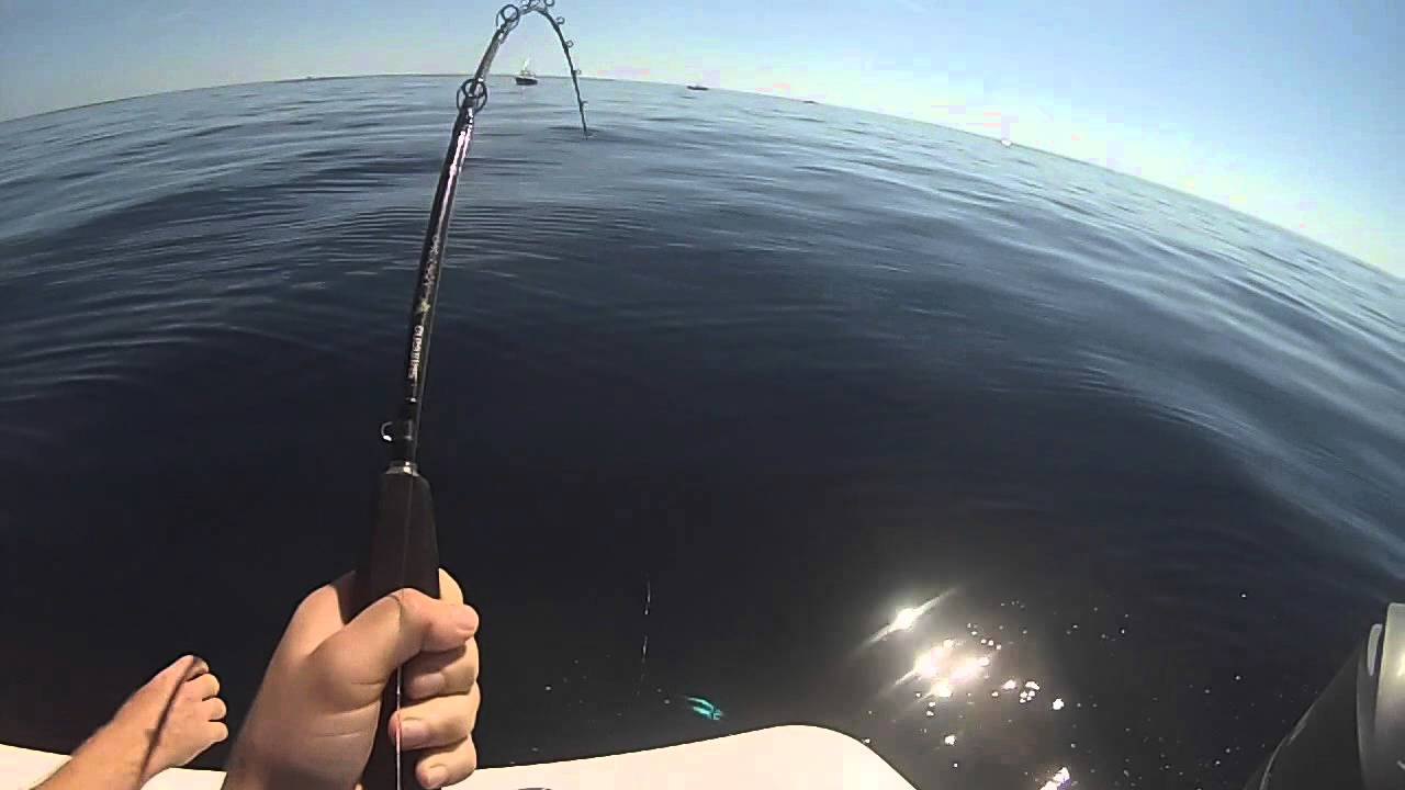 New Jersey Inshore Yellowfin Tuna Fishing YouTube