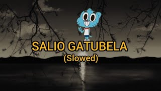 Salio Gatubela (Slowed)