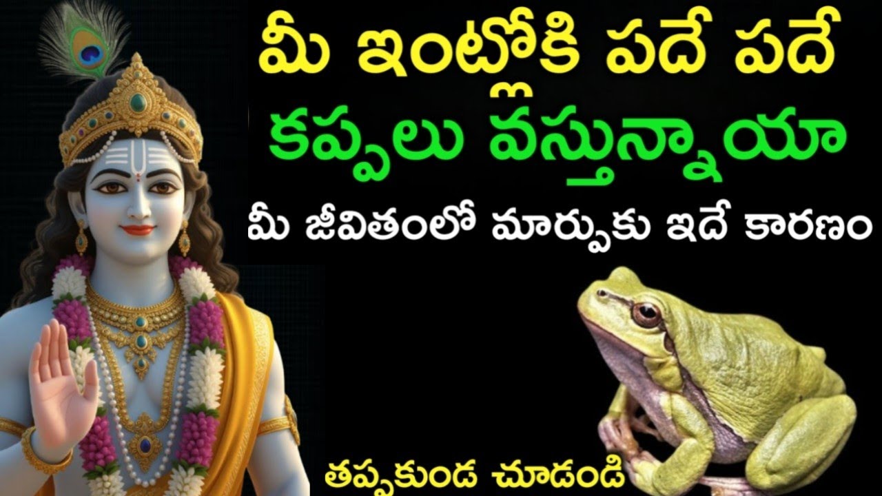 మీ ఇంట్లోకి కప్పలు వస్తే మీ జీవితంలో ఇదే జరుగుతుంది | Golden Info 