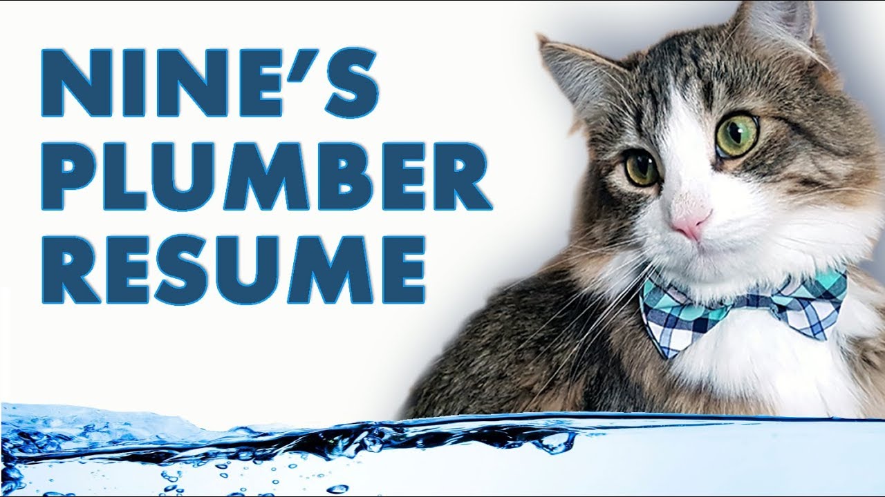 Cat Destroys Water Fountain. Funniest Kitty Video 2018 YouTube