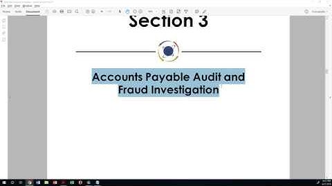 ACCT146-SP5-IDEA-3A: Setting up Accounts Payable Audit and Investigation
