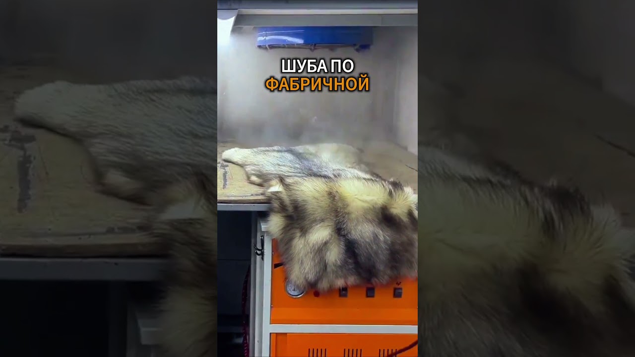 Фабрики изделий из КОЖИ и МЕХА в Стамбуле 🇹🇷 ЗЕЙТИНБУРНУ 