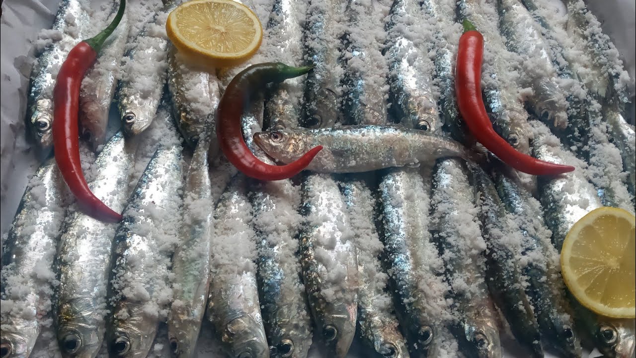 سردين مشوي في الفرن كيجي غزال وصحي الا جربتيه غيولي معتامد عندك