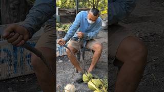 Smart Fruit Cutting Skills