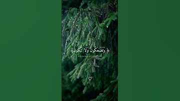 تلاوة من سورة النجم ||أَزِفَتْ الآزِفَةُ || الشيخ #محمد_اللحيدان