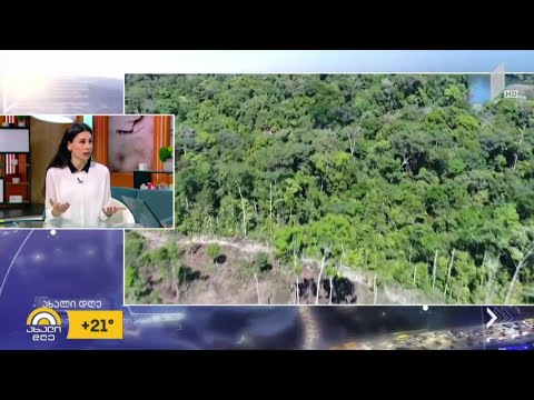 #ახალიდღე არის თუ არა covid-19 გარემოს პასუხი ჩვენს ქმედებებზე?! - რუბრიკა #ეკოლოგია