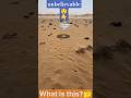 Strange and Bizarre Phenomenon—What Is This? 😲🌍 #shorts #viral
