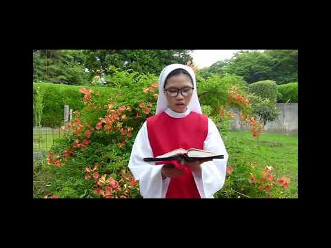 Video Đôi Phút Với Chúa Chúa Nhật XVIII thường niên c - youtube