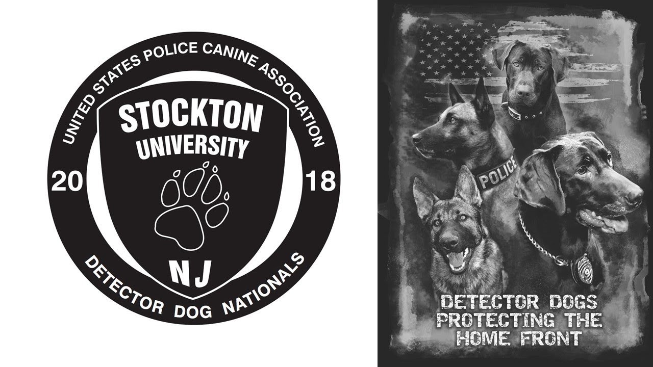 science diet indoor cat 4kg