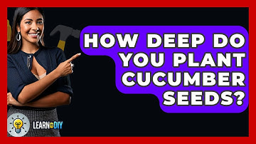 How Deep Do You Plant Cucumber Seeds? - LearnToDIY360.com