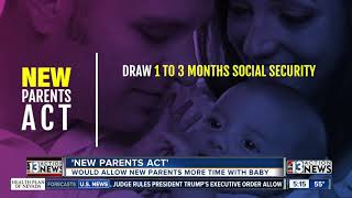 Lawmakers consider 'New Parents Act'