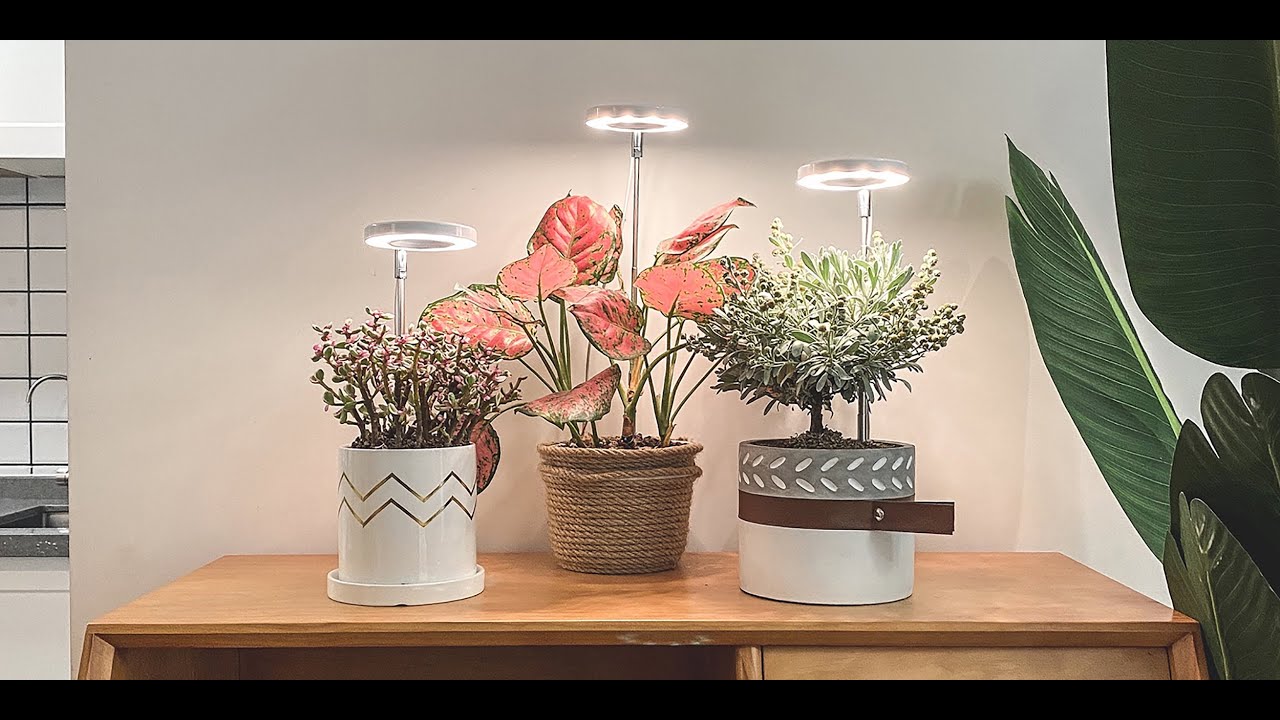LED GROW LIGHT - YouTube