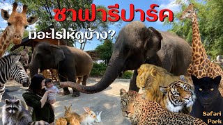 ซาฟารีปาร์ค กาญจนบุรี มีอะไรให้ดูบ้าง ? | สวนสัตว์เปิด Safari Park Kanchanaburi ที่เที่ยวใกล้กรุงเทพ