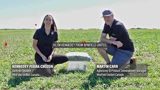 From Gas To Data Exploring Dosimetre Experiments