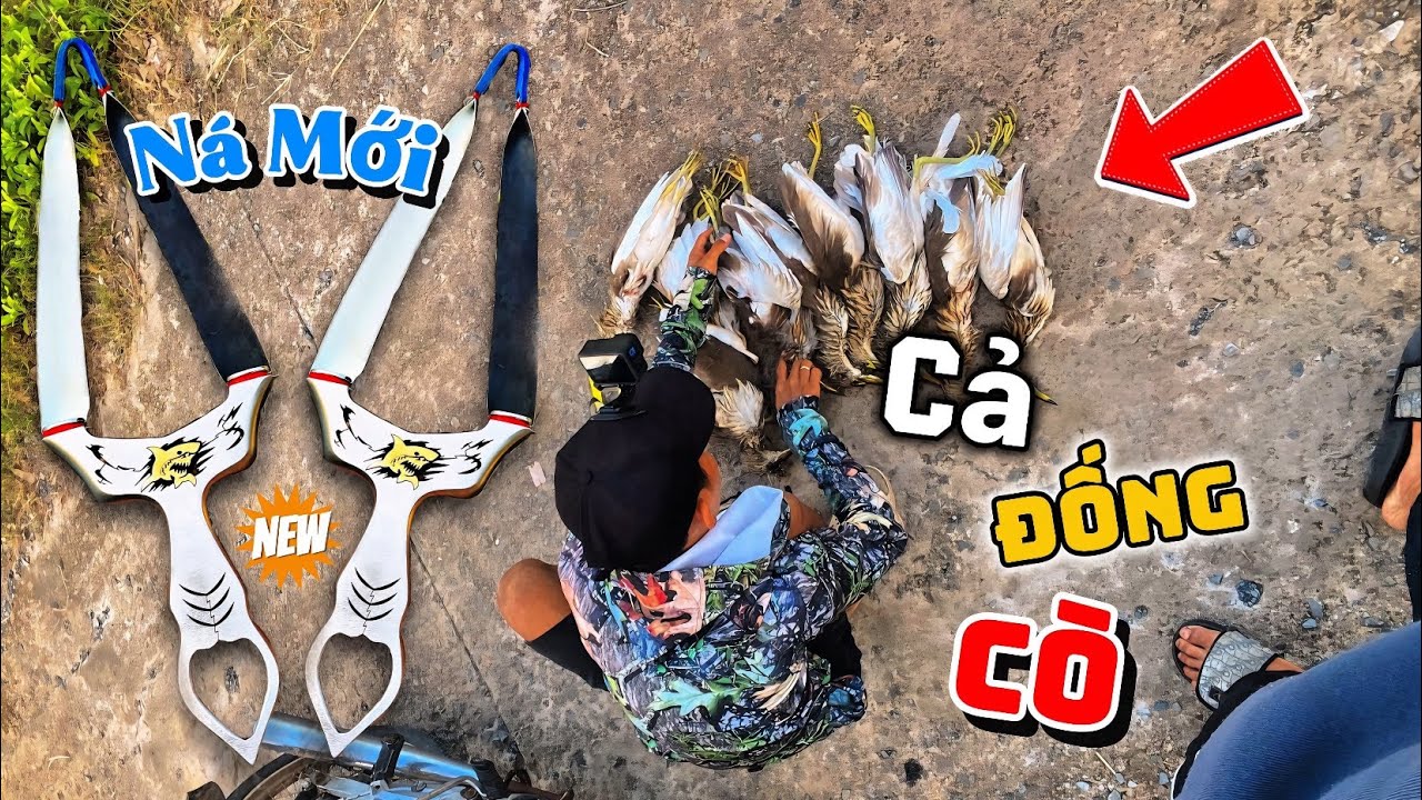 Cầm Mẫu Ná Mới Đi Săn Bem Cả Chục Con Cò Bợ Quá Tuyệt || Tiến Đạt SlingShot
