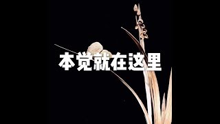 201710 本觉就在这里22628
