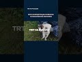 Кота поймали при попытке пронести наркотики в российскую колонию