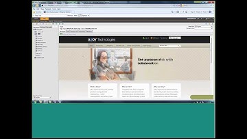 EPiServer - Mastering the Globalization Spectrum