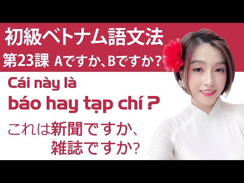 Video 初級ベトナム語文法 第23課「Aですか？Bですか？」「A hay / hay là... - youtube