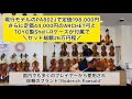 【売約済】9130番　ドイツ製　Roderich Paesold No.802 1991年製 4/4 バイオリン試奏動画