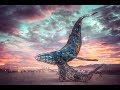 Burning Man : The Space Whale