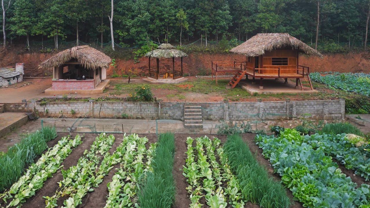TIMELAPSE: Robert Building a Farm in the Forest, P7( Final part - Happy New Year 2024 )