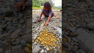 Oh, my God, This Man Found Gold Nuggets Inside Quartz Rock #golddiscovery #findinggold #goldnuggets