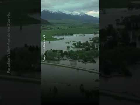 Yellowstone River reached highs not seen in our lifetimes. #Shorts