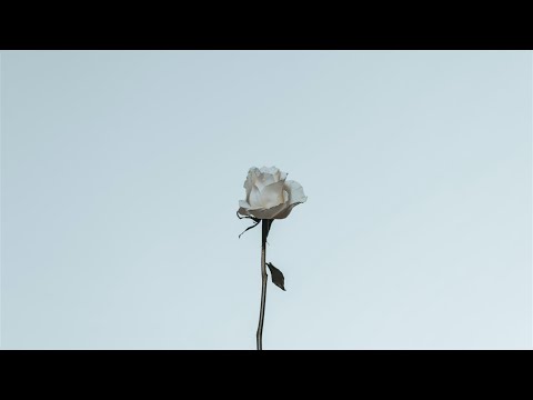 정밀아(Jeong Milla) - 꽃(A Flower) Kor-Eng sub