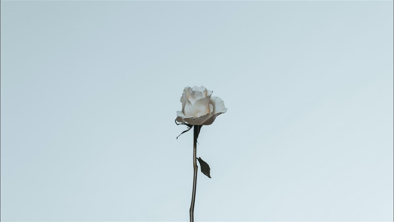 정밀아(Jeong Milla) - 꽃(A Flower) Kor-Eng sub adlı videoyu YouTube'da izle 정밀아(Jeong Milla) - 꽃(A Flower) Kor-Eng sub adlı videoyu YouTube'da izle