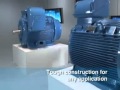 W22 - the new electric motor concept - Weg Electric Motors (UK) Ltd. (36891)